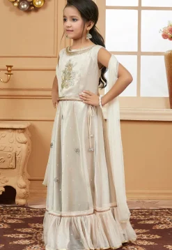 Embroidered Net Lehenga in Light Beige