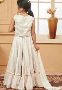 Embroidered Net Lehenga in Light Beige