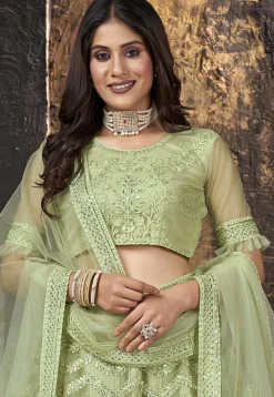 Embroidered Net Lehenga in Light Olive Green