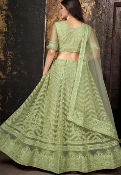 Embroidered Net Lehenga in Light Olive Green