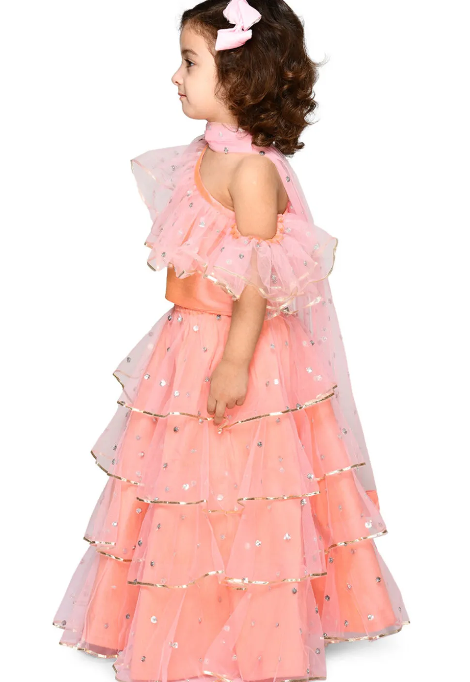 Embroidered Net Lehenga in Peach Pink