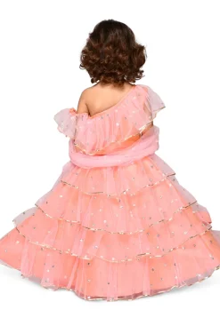 Embroidered Net Lehenga in Peach Pink