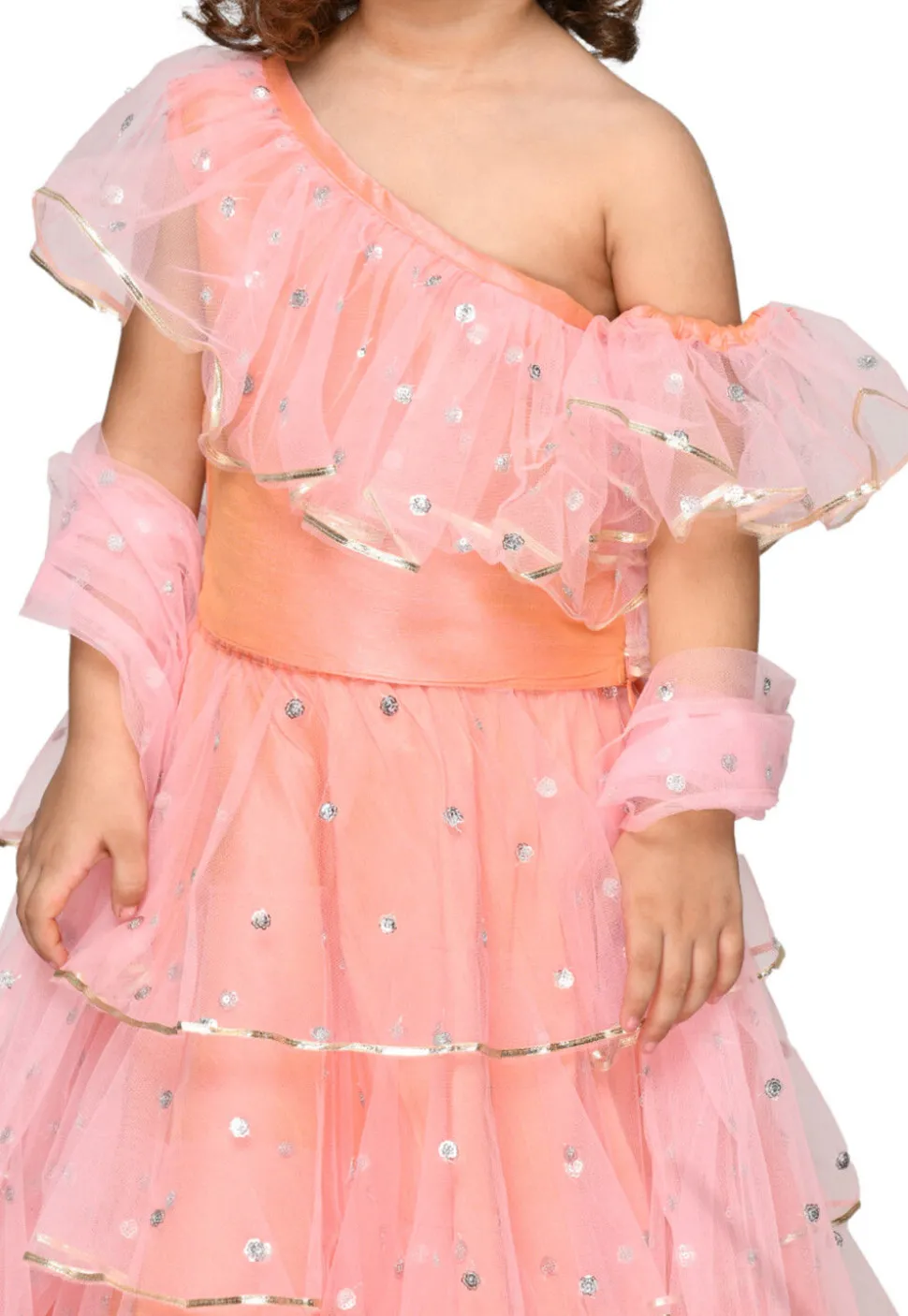 Embroidered Net Lehenga in Peach Pink