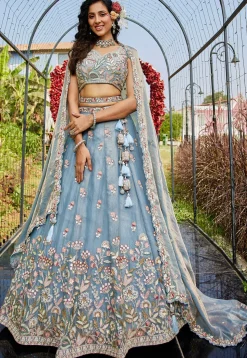 Embroidered Net Lehenga in Light Blue
