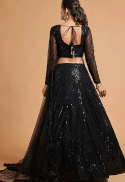 Embroidered Net Lehenga in Black