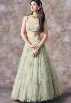Embroidered Net Lehenga in Light Green