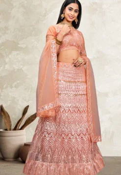 Embroidered Net Lehenga in Peach