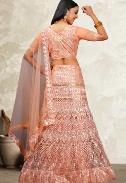 Embroidered Net Lehenga in Peach