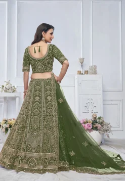 Embroidered Net Lehenga in Green