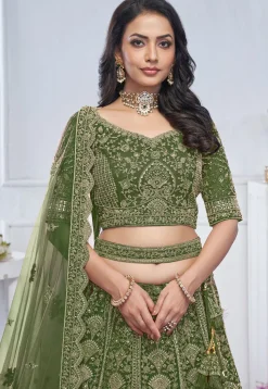 Embroidered Net Lehenga in Green