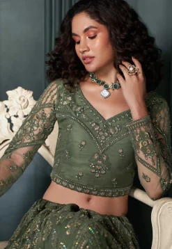 Embroidered Net Lehenga in Dusty Green
