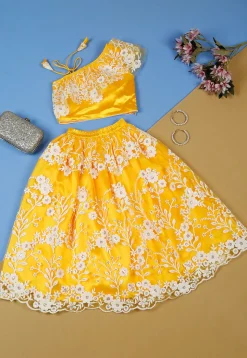 Embroidered Net Lehenga in Yellow