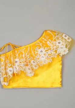 Embroidered Net Lehenga in Yellow
