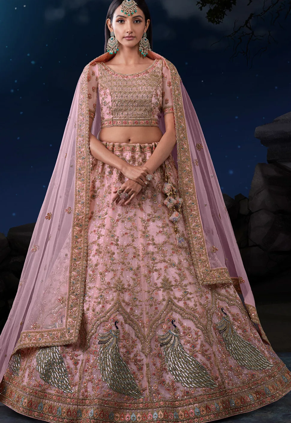 Embroidered Net Lehenga in Peach