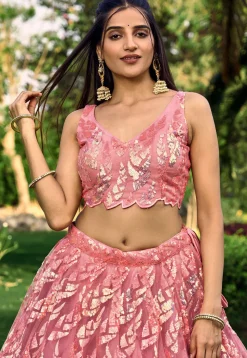 Embroidered Net Lehenga in Peach