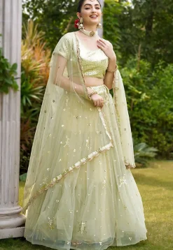 Embroidered Net Lehenga in Light Green