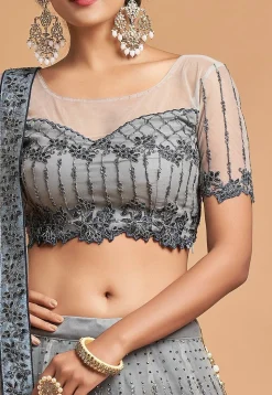 Embroidered Net Lehenga in Grey