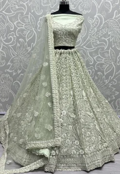 Embroidered Net Lehenga in Light Green
