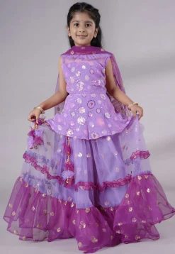 Embroidered Net Lehenga in Purple
