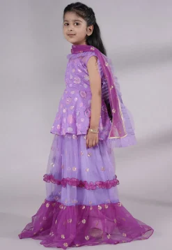 Embroidered Net Lehenga in Purple