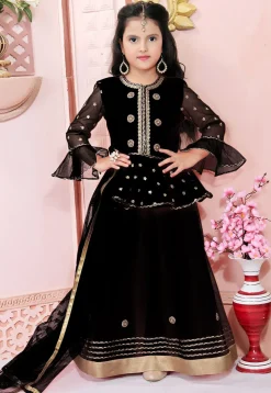Embroidered Net Lehenga in Black