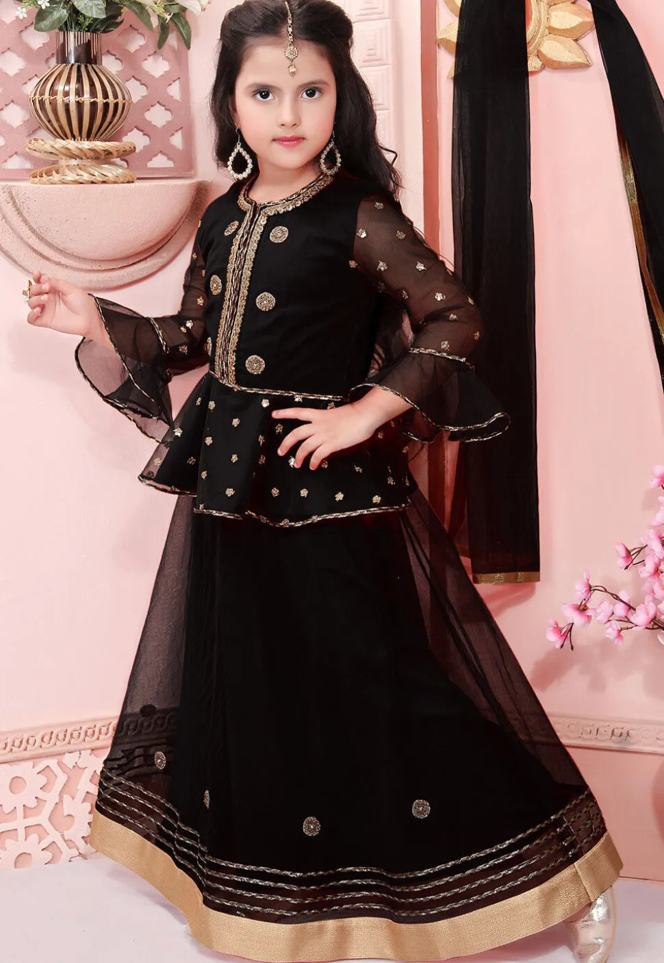 Embroidered Net Lehenga in Black