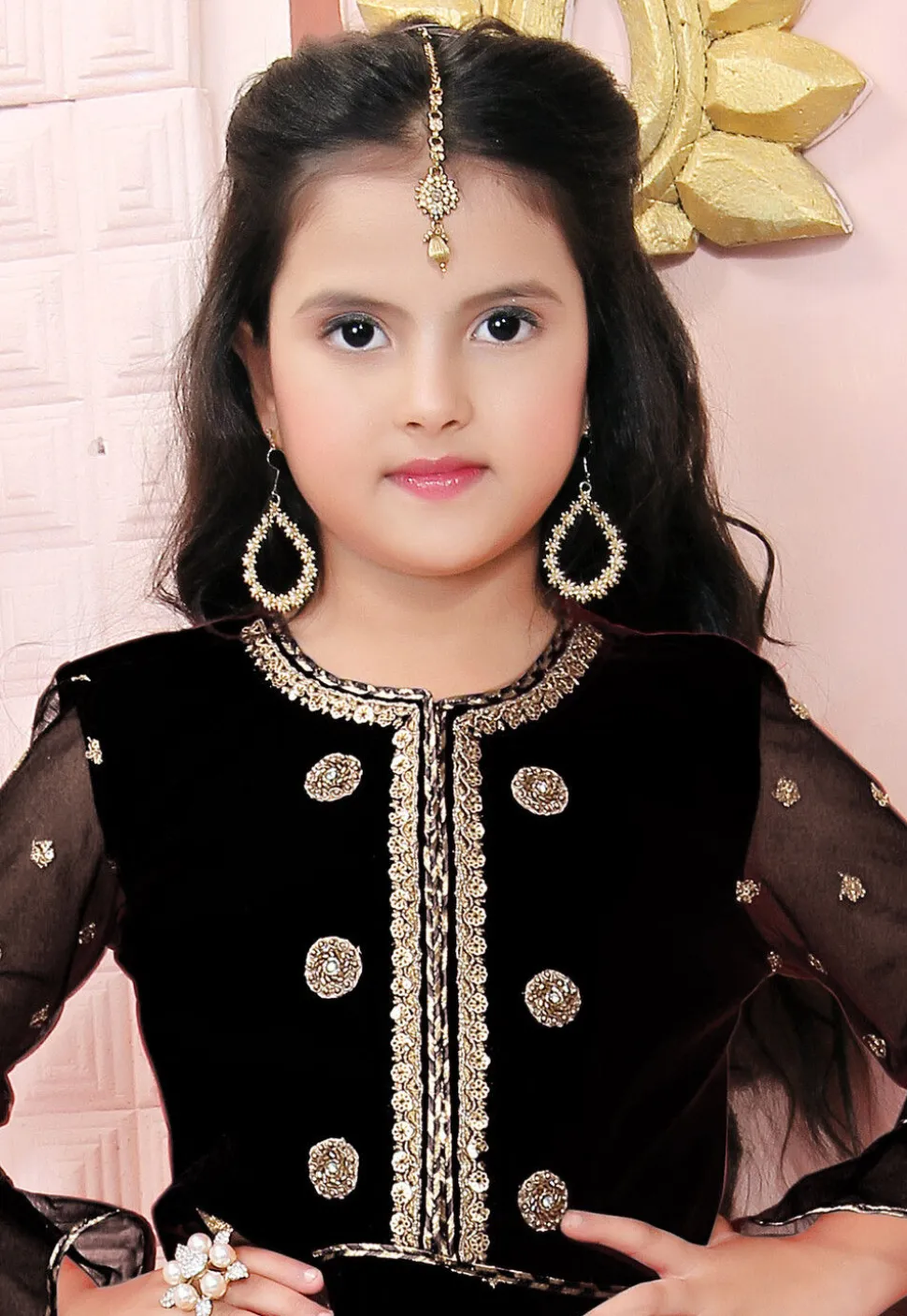 Embroidered Net Lehenga in Black