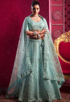 Embroidered Net Lehenga in Sky Blue