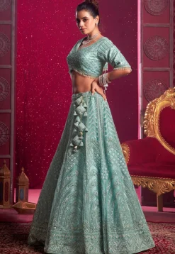 Embroidered Net Lehenga in Sky Blue