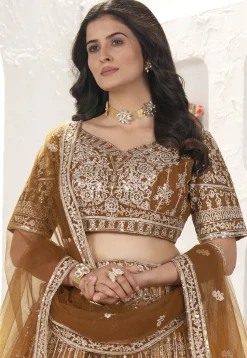 Embroidered Net Lehenga in Brown