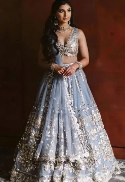 Embroidered Net Lehenga in Grey