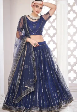 Embroidered Net Lehenga in Navy Blue