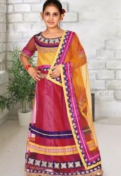 Embroidered Net Lehenga in Red and Pink