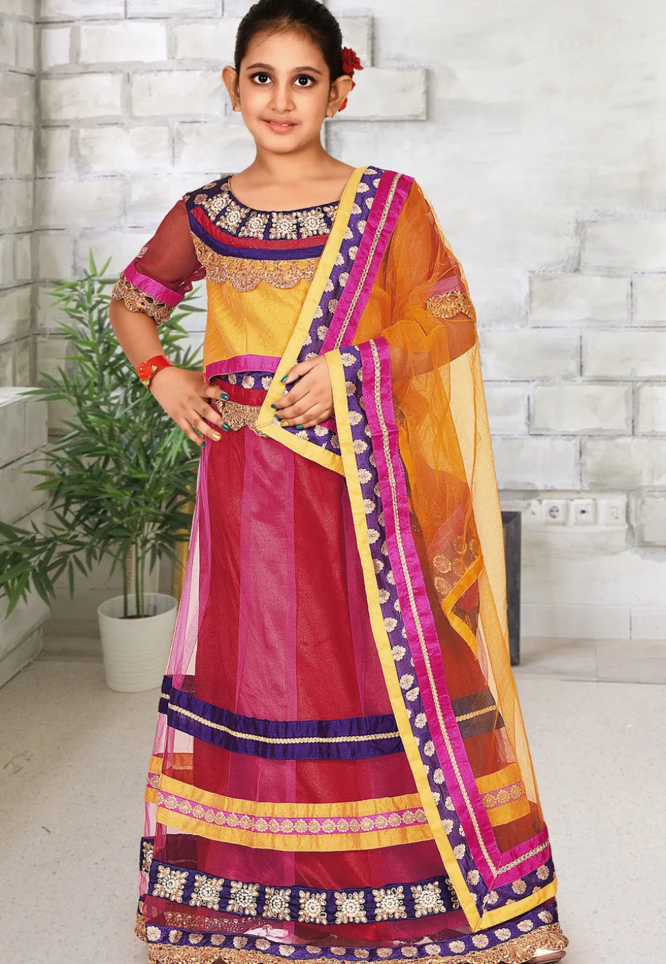Embroidered Net Lehenga in Red and Pink