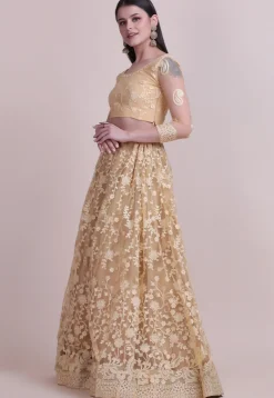 Embroidered Net Lehenga in Beige