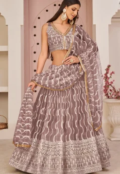 Embroidered Net Lehenga in Brown