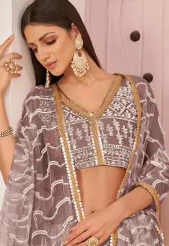 Embroidered Net Lehenga in Brown