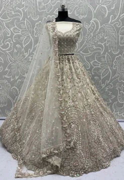 Embroidered Net Lehenga in Off White
