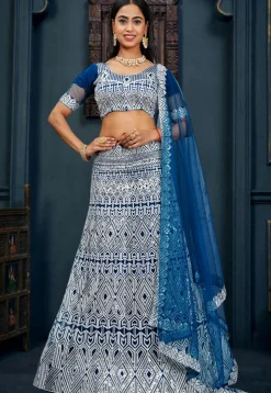 Embroidered Net Lehenga in Blue