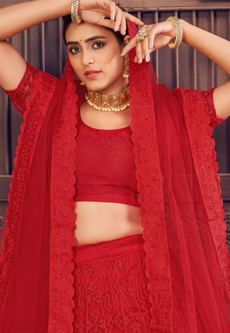 Embroidered Net Lehenga in Red