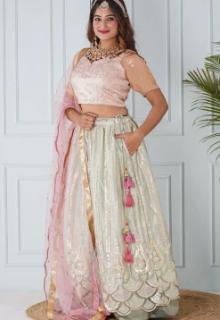 Embroidered Net Lehenga in Pastel Green