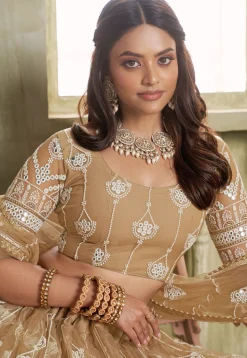 Embroidered Net Lehenga in Beige