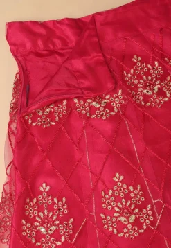 Embroidered Net Lehenga in Pink
