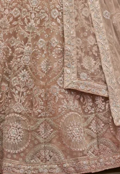 Embroidered Net Lehenga in Beige