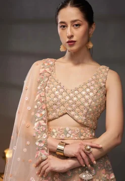 Embroidered Net Lehenga in Peach