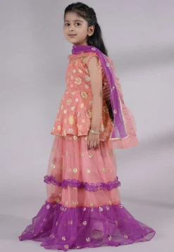 Embroidered Net Lehenga in Peach and Purple