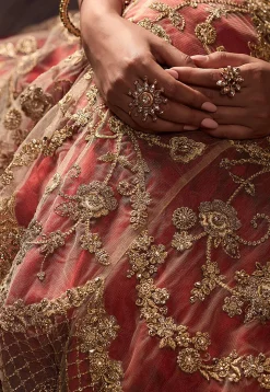 Embroidered Net Lehenga in Beige and Red