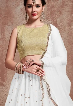 Embroidered Net Lehenga in White