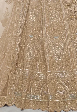 Embroidered Net Lehenga in Beige