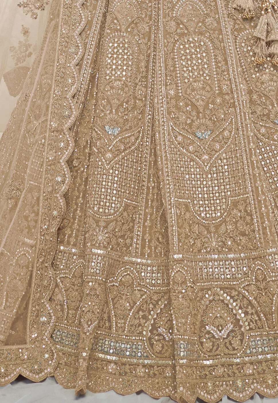 Embroidered Net Lehenga in Beige